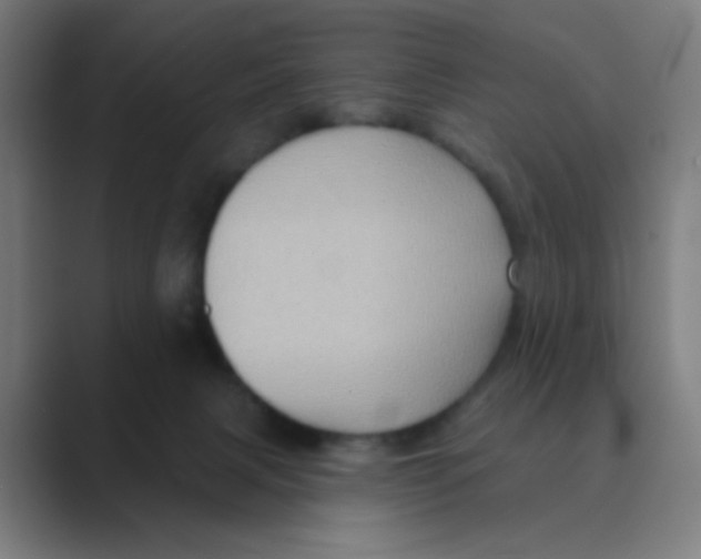 X0000088670079200706281930