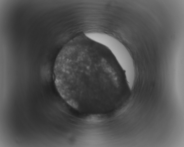 X0000088670080200706281930