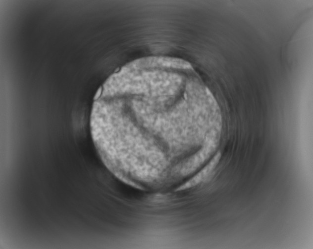 X0000088670082200706281930