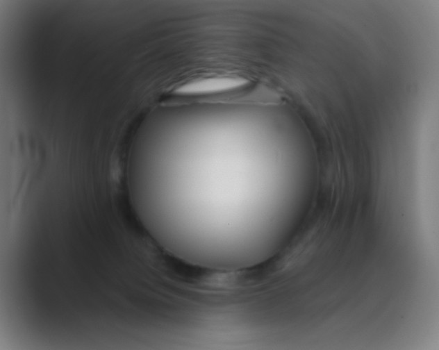 X0000088670084200706281930