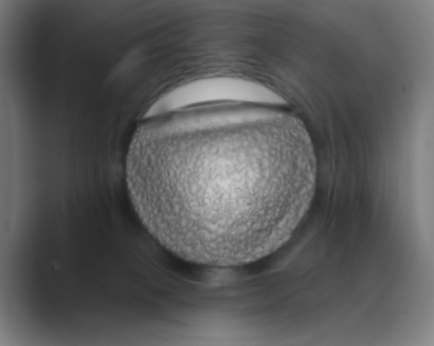 X0000088670085200706281930