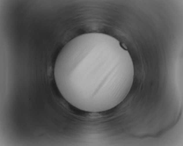 X0000088670087200706281930