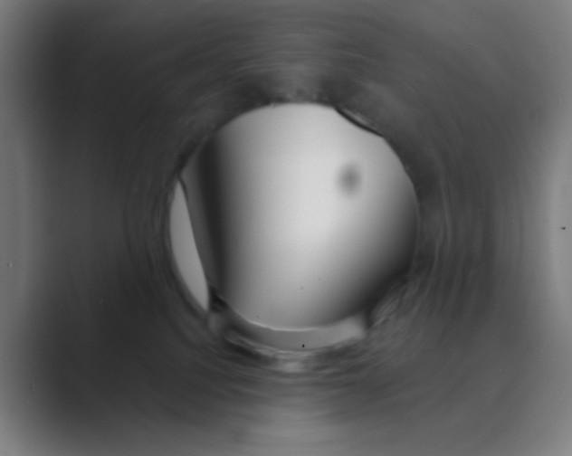 X0000088670088200706281930