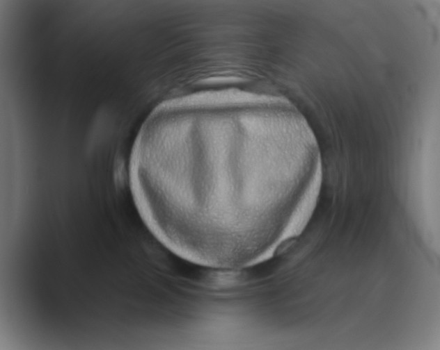 X0000088670089200706281930