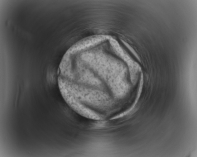 X0000088670090200706281930
