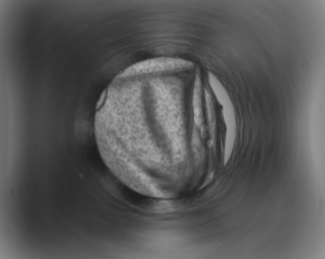 X0000088670091200706281930