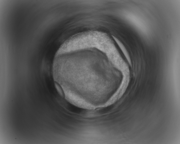 X0000088670093200706281930