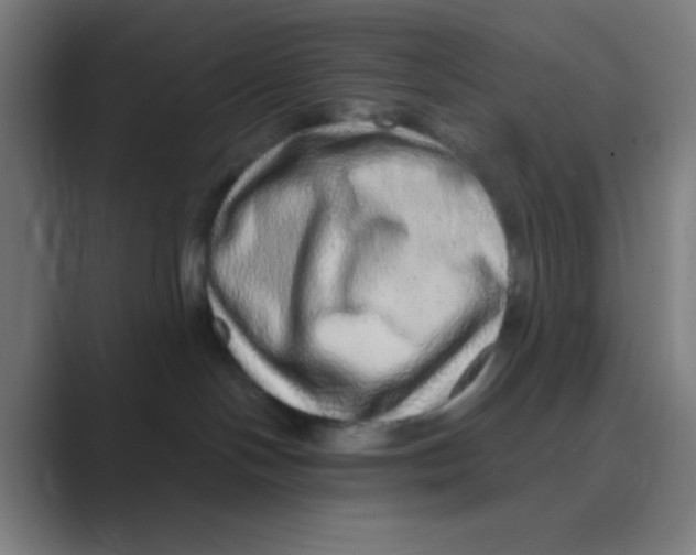 X0000088670094200706281930