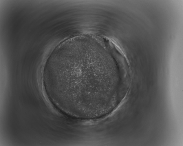 X0000088670097200706281930