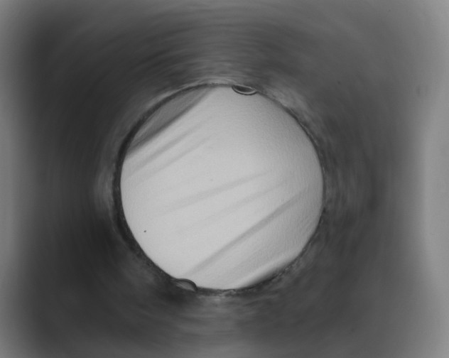 X0000088670098200706281930