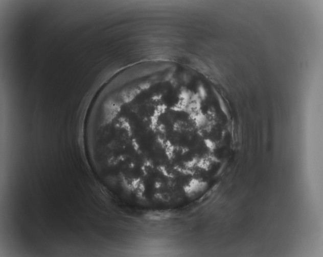 X0000088670099200706281930