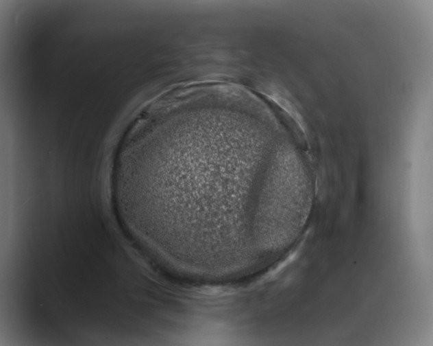 X0000088670101200706281930