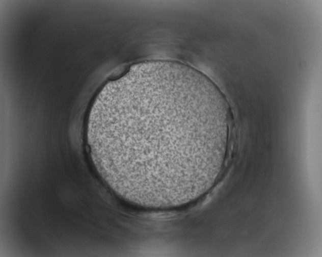 X0000088670103200706281930