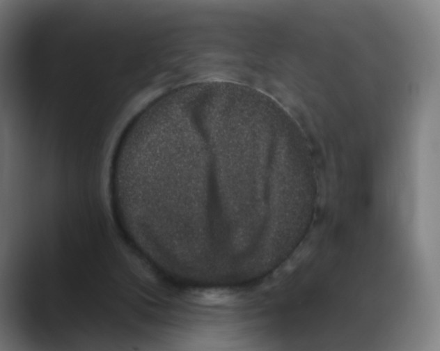 X0000088670104200706281930