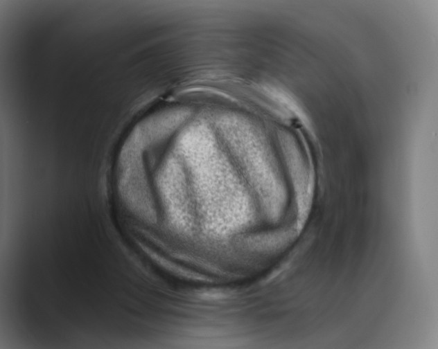 X0000088670105200706281930
