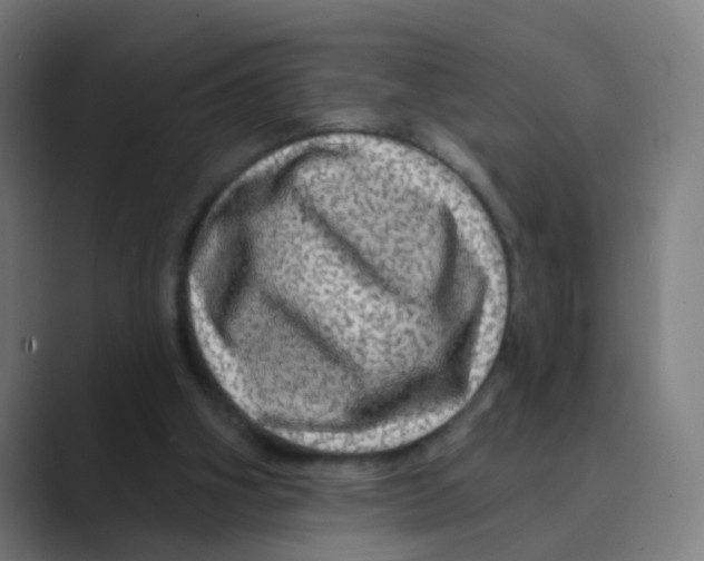 X0000088670106200706281930