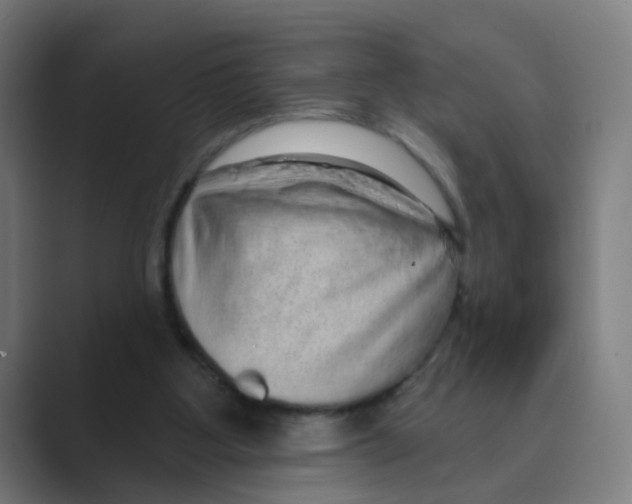 X0000088670107200706281930