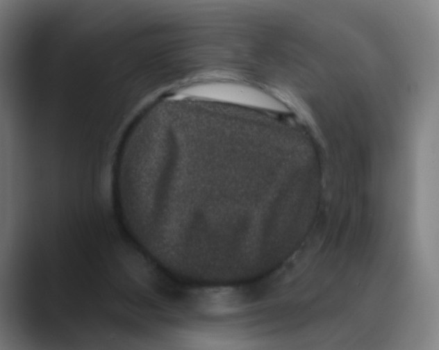 X0000088670108200706281930
