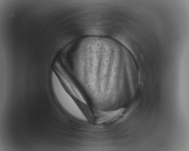 X0000088670109200706281930