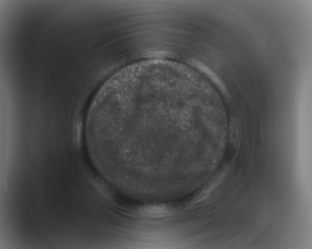 X0000088670110200706281930