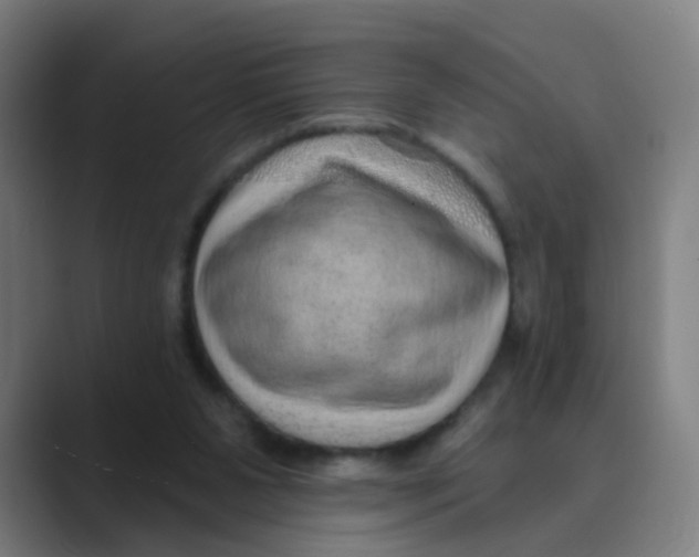 X0000088670111200706281930
