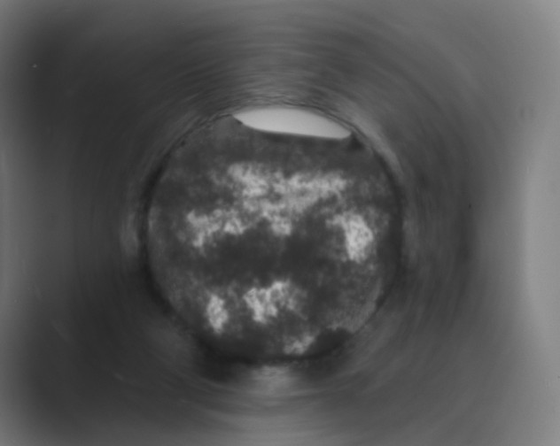X0000088670114200706281930