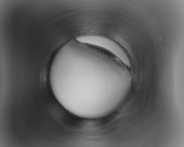 X0000088670115200706281930