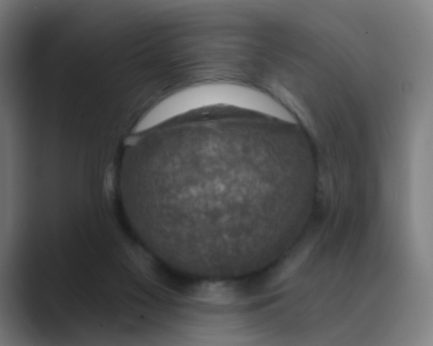 X0000088670117200706281930