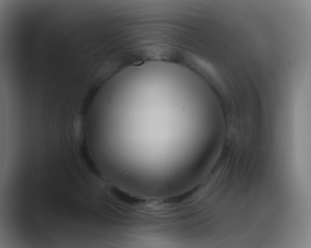 X0000088670121200706281929