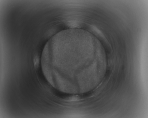 X0000088670124200706281929