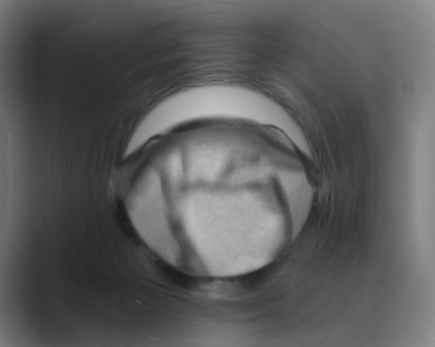 X0000088670125200706281929