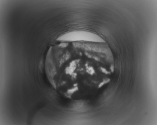 X0000088670127200706281929