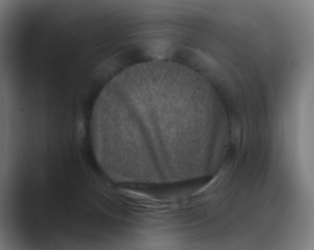 X0000088670128200706281929