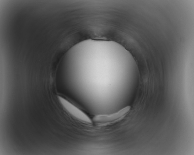 X0000088670129200706281929
