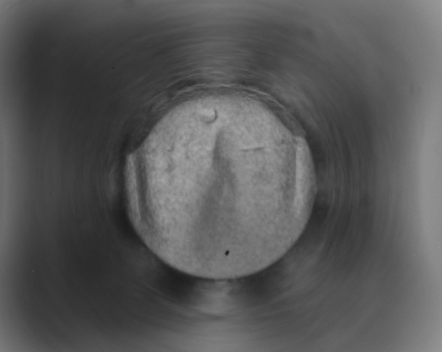 X0000088670131200706281929