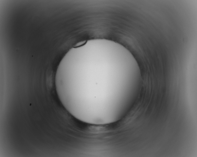 X0000088670133200706281929