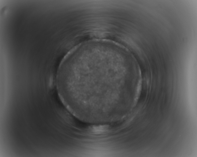 X0000088670134200706281929