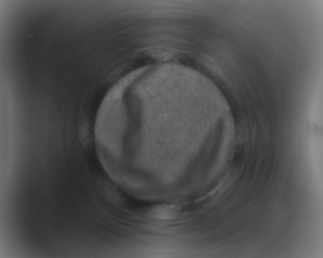 X0000088670136200706281929