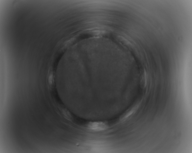 X0000088670137200706281929