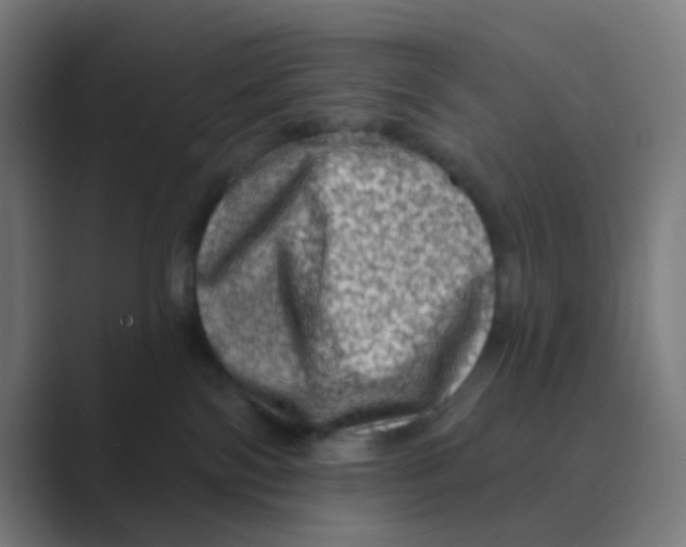 X0000088670138200706281929