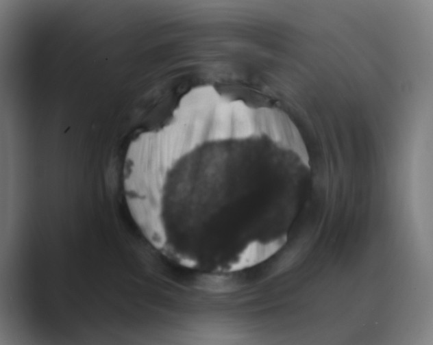 X0000088670139200706281929