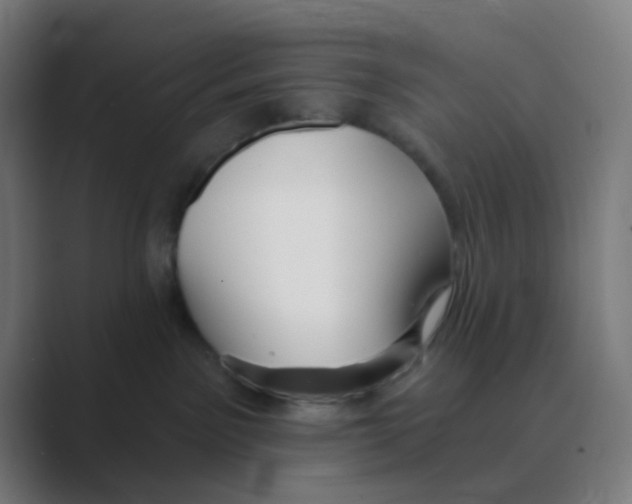 X0000088670141200706281929