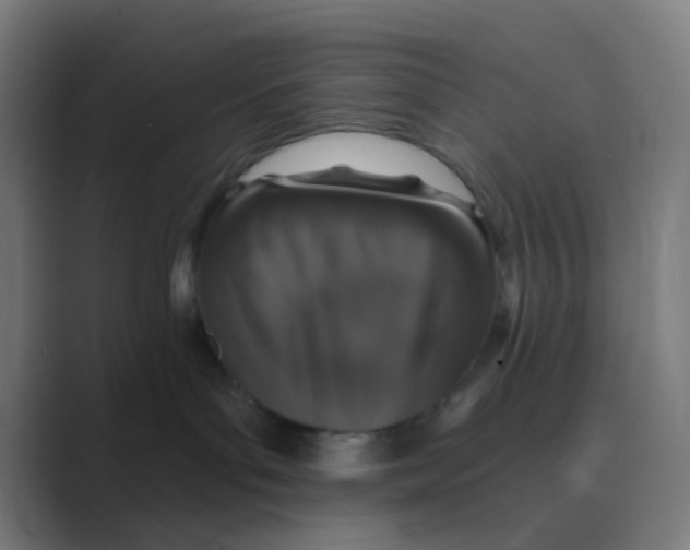 X0000088670143200706281929