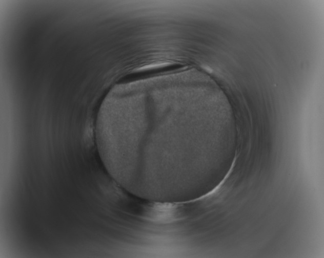 X0000088670144200706281929
