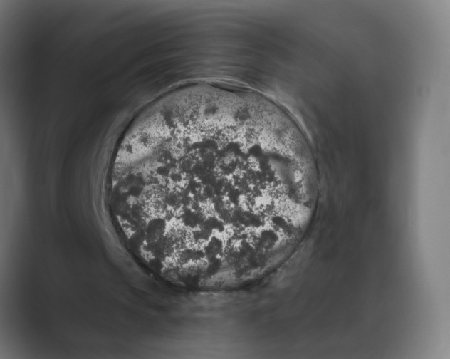 X0000088670145200706281928