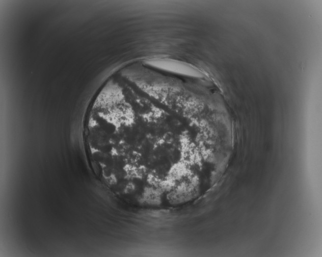X0000088670147200706281928