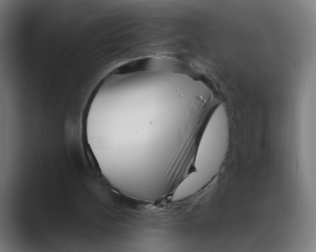 X0000088670148200706281928
