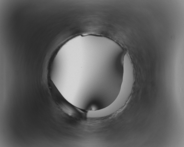 X0000088670150200706281928
