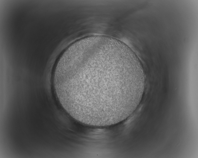 X0000088670151200706281928