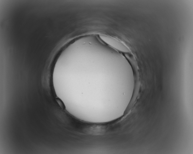 X0000088670152200706281928